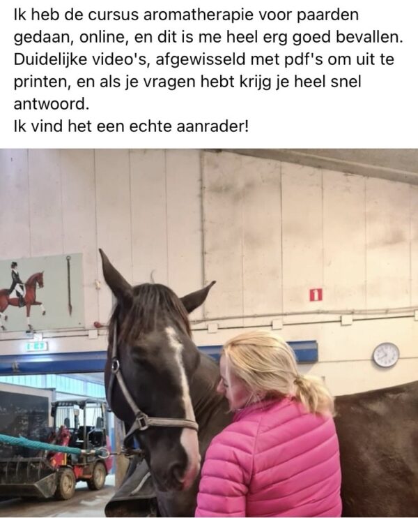 Online cursus Aromamassage voor Paarden - Afbeelding 2